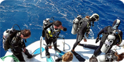 Egypt Diving Tour